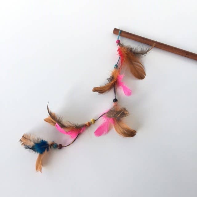 Cannes Jouet Pour Chat Plumes
