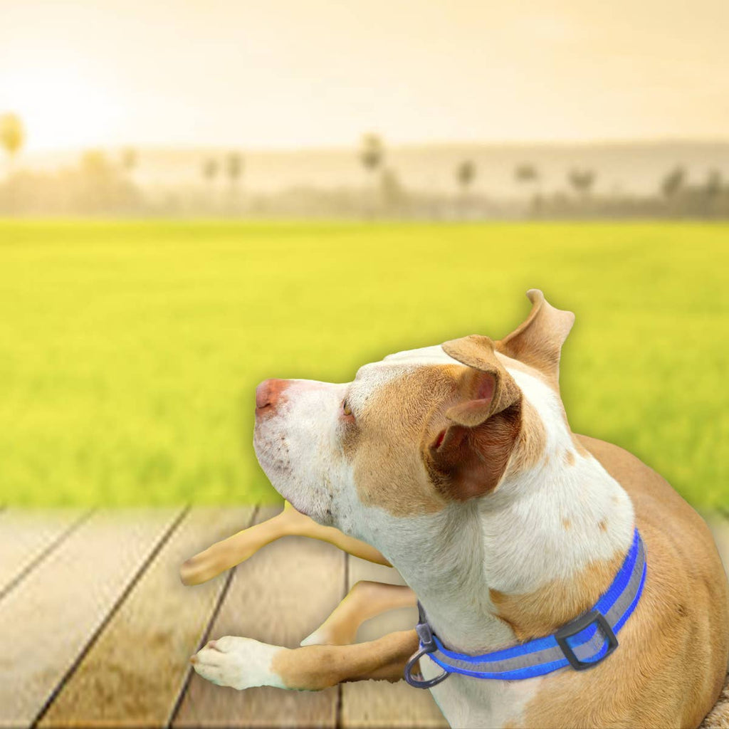 Collier réfléchissant pour chien ajustable