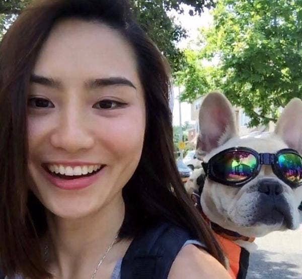 K9 Sport Shades - Lunettes pour chiens