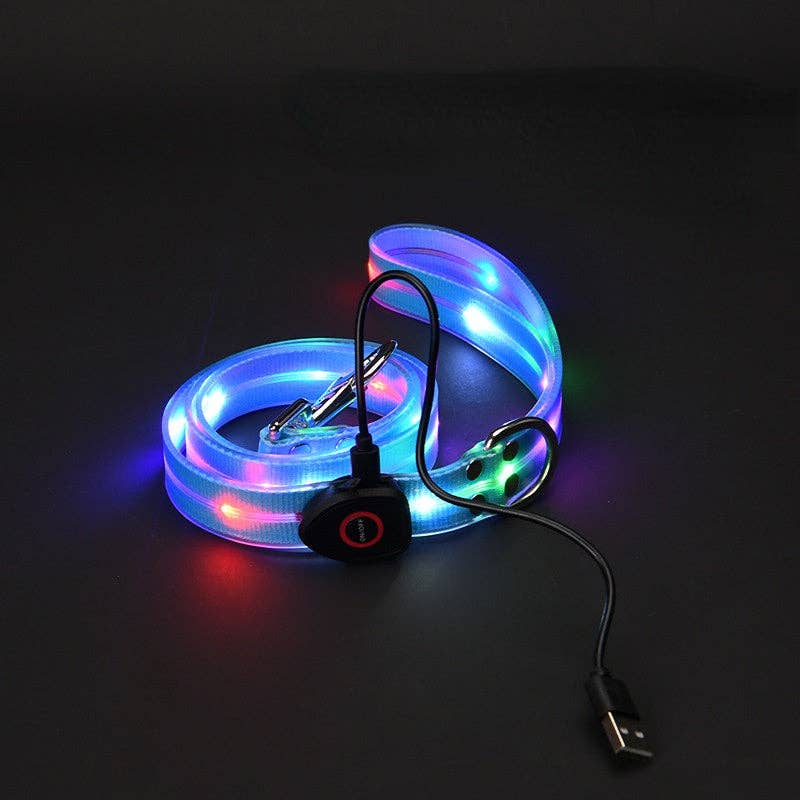 Laisse LED pour chien