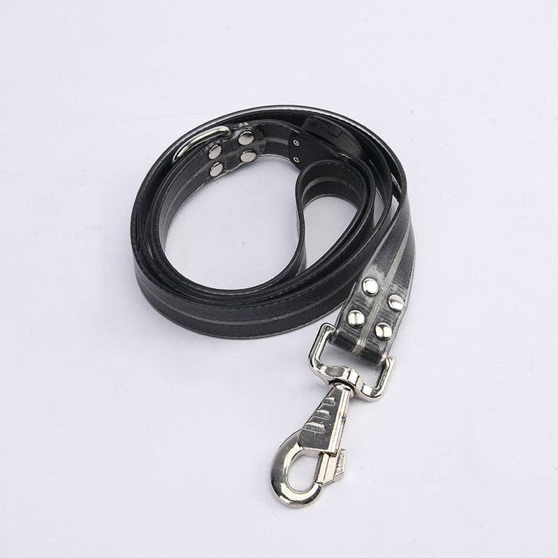 Laisse LED pour chien