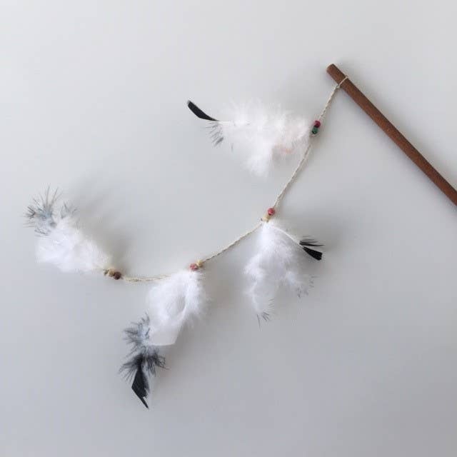 Cannes Jouet Pour Chat Plumes