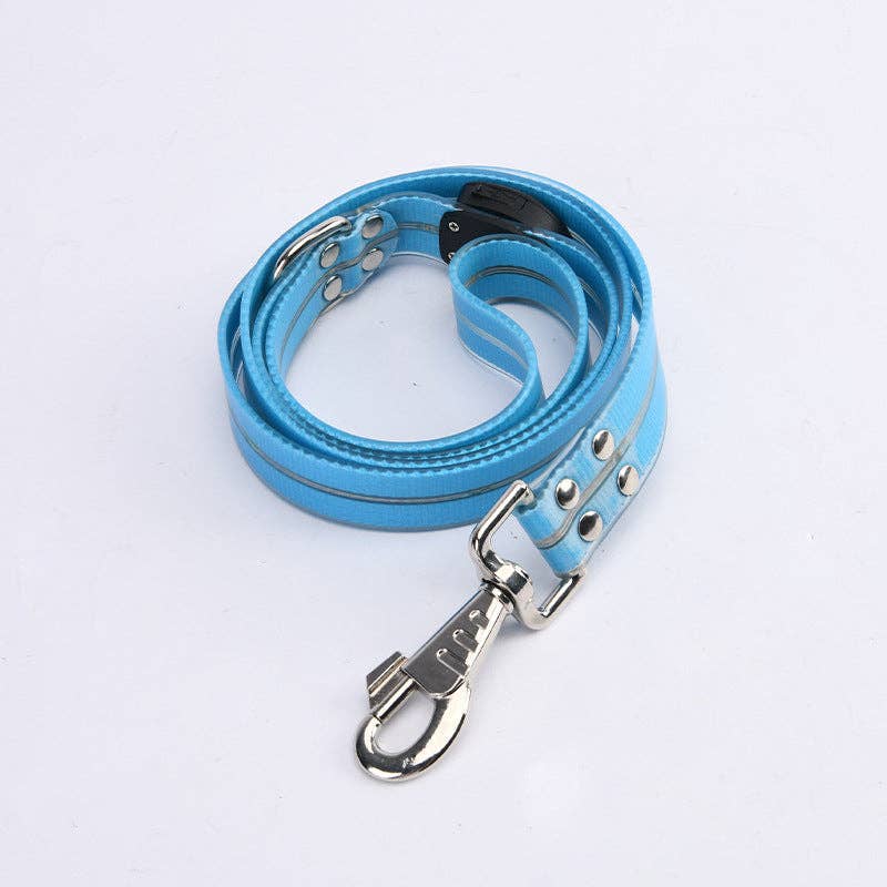Laisse LED pour chien