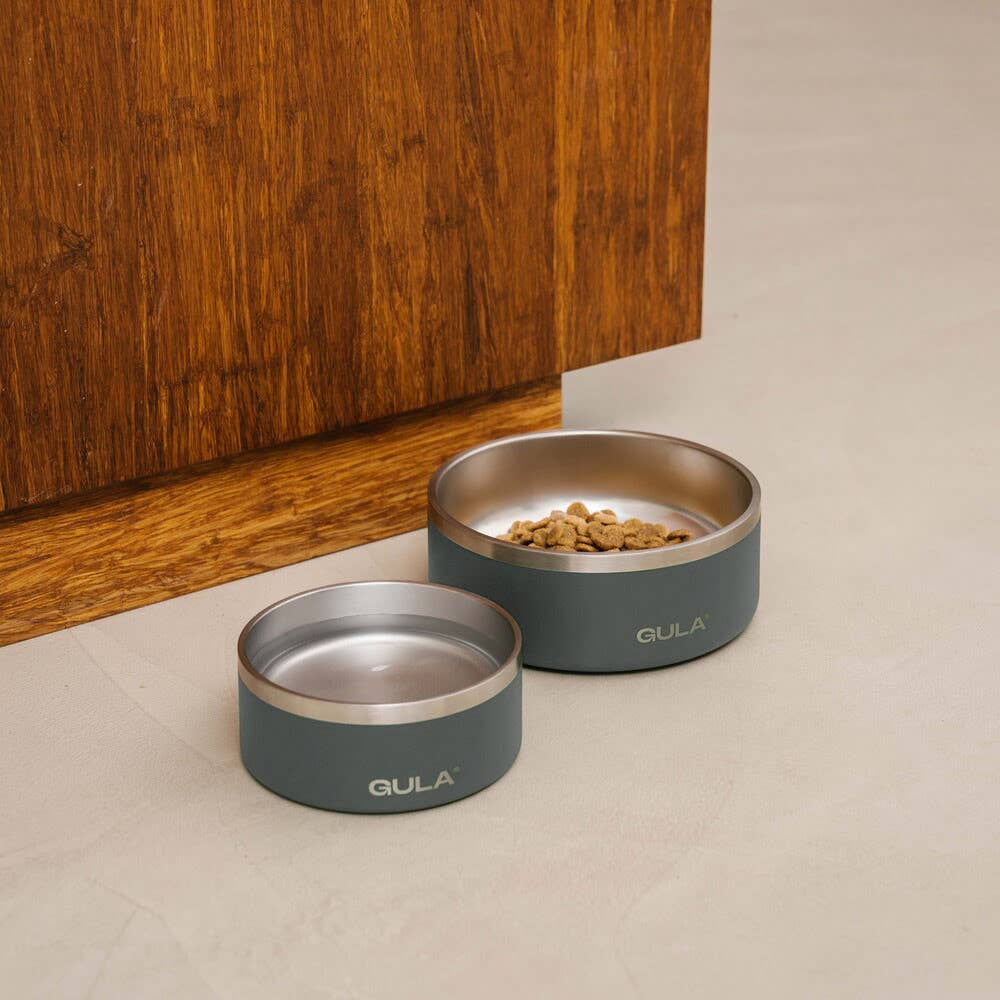 Gamelle double paroi grise pour chien, isolante