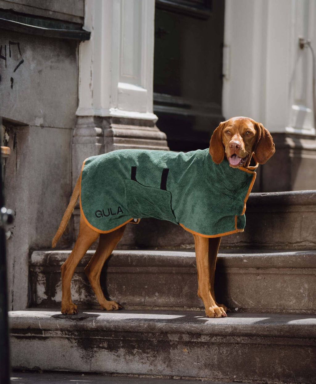 Peignoir pour chien / Serviette de séchage pour chien - Vert et orange