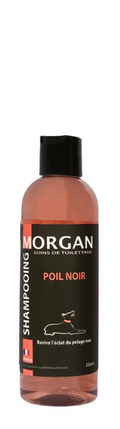 Shampoing Poil noir Morgan 250 ml