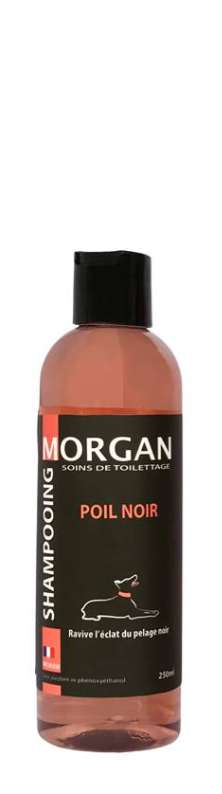 Shampoing Poil noir Morgan 250 ml