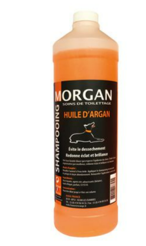 Shampoing Morgan Huile d'Argan 1L
