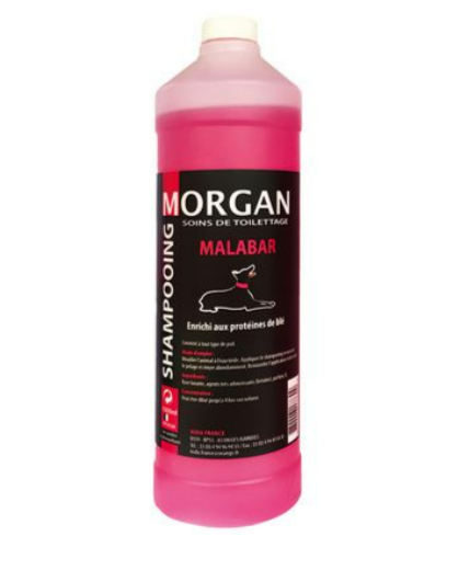Shampoing Morgan senteur Malabar 1 L