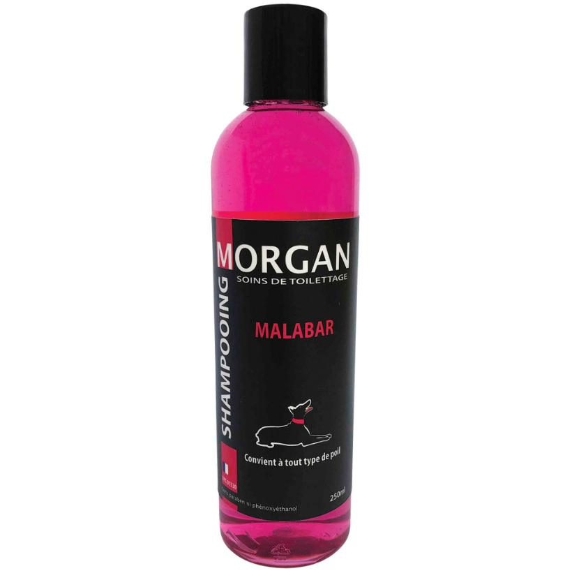 Shampoing Morgan senteur Malabar 250 ml