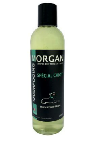 Shampoing Morgan spécial chiot 250 ML