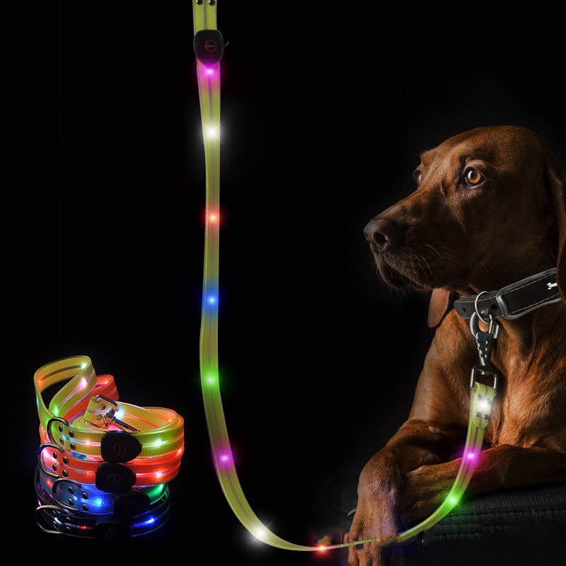 Laisse LED pour chien