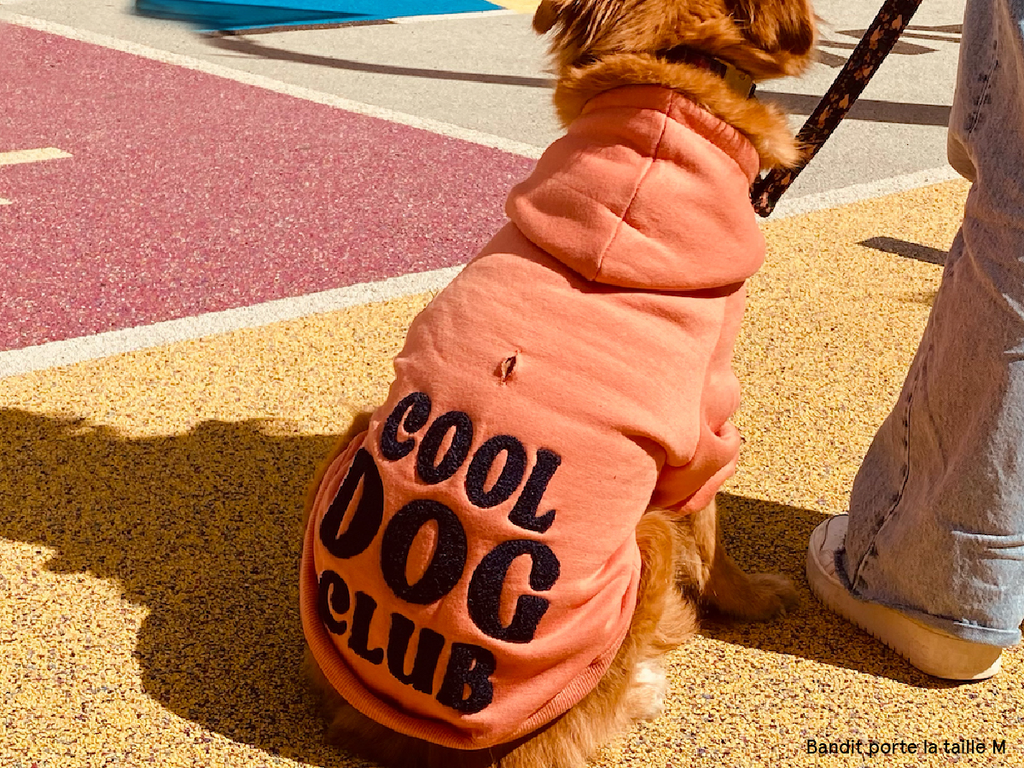 Hoodies à capuche pour chien