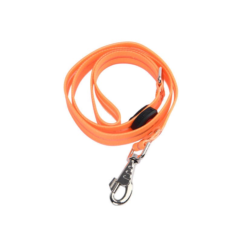 Laisse LED pour chien