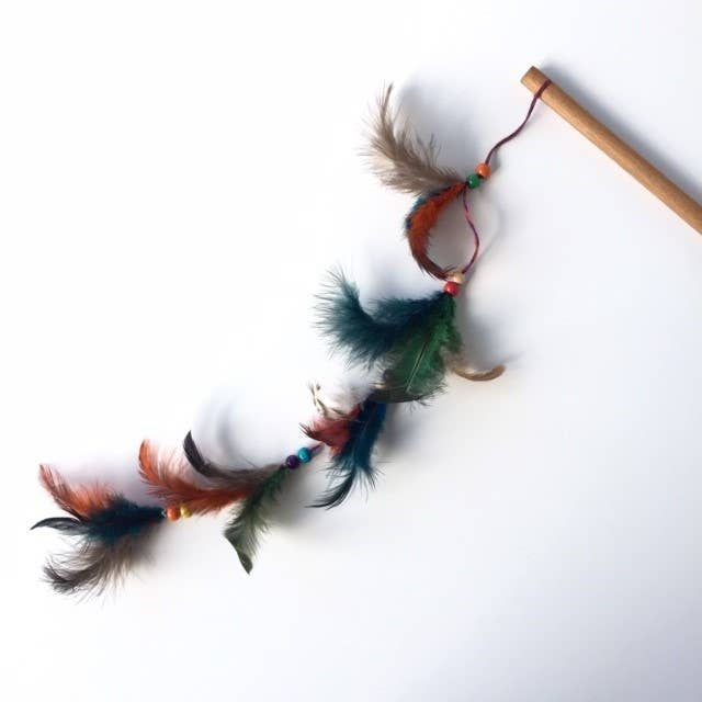 Cannes Jouet Pour Chat Plumes