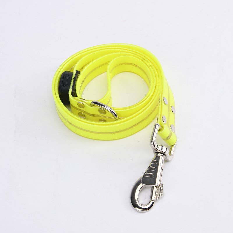 Laisse LED pour chien