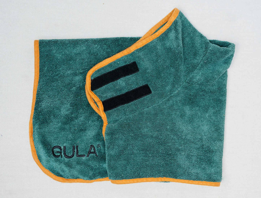 Peignoir pour chien / Serviette de séchage pour chien - Vert et orange