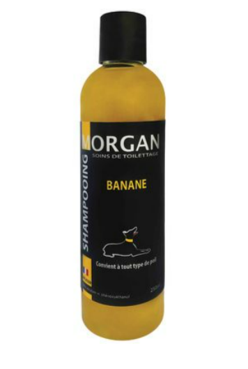 Flacon de 250 ml du Shampoing Chien Morgan au parfum banane, soin professionnel sans paraben pour tout type de poil.