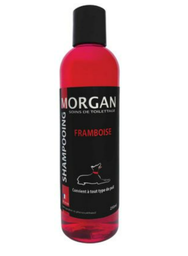 Flacon de 250 ml du Shampoing Chien Morgan au parfum framboise, soin professionnel sans paraben pour tout type de poil.