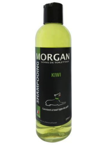 Flacon de 250 ml du Shampoing Chien Morgan au parfum kiwi, soin professionnel sans paraben pour tout type de poil.