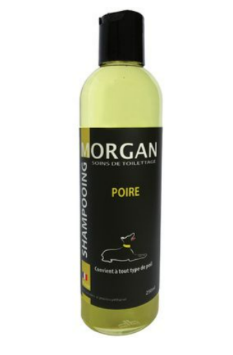 Flacon de 250 ml du Shampoing Chien Morgan au parfum poire, soin professionnel sans paraben pour tout type de poil.